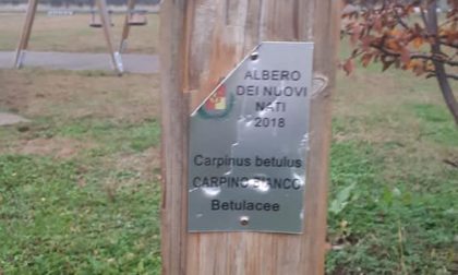 Danni e vandalismi a Gerenzano e Cislago