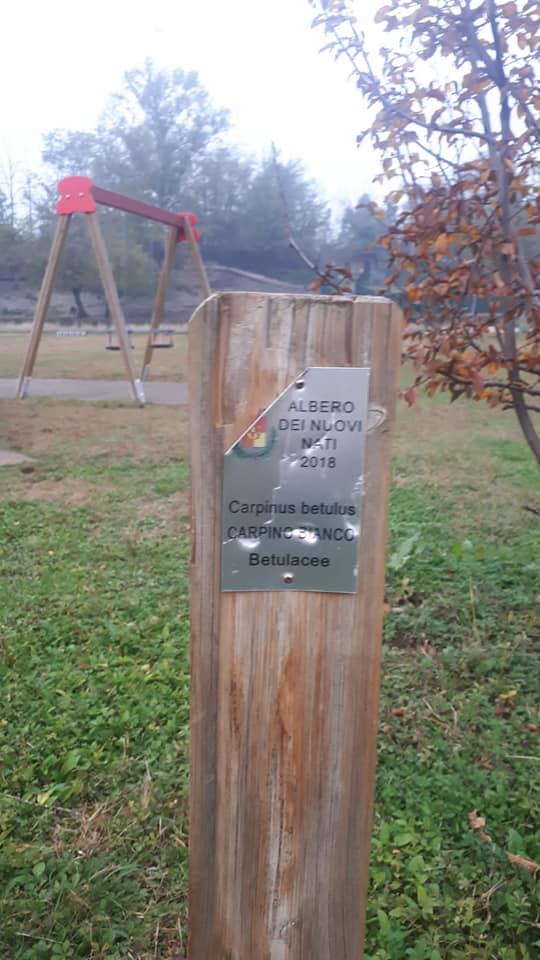 Danni e vandalismi a Gerenzano e Cislago