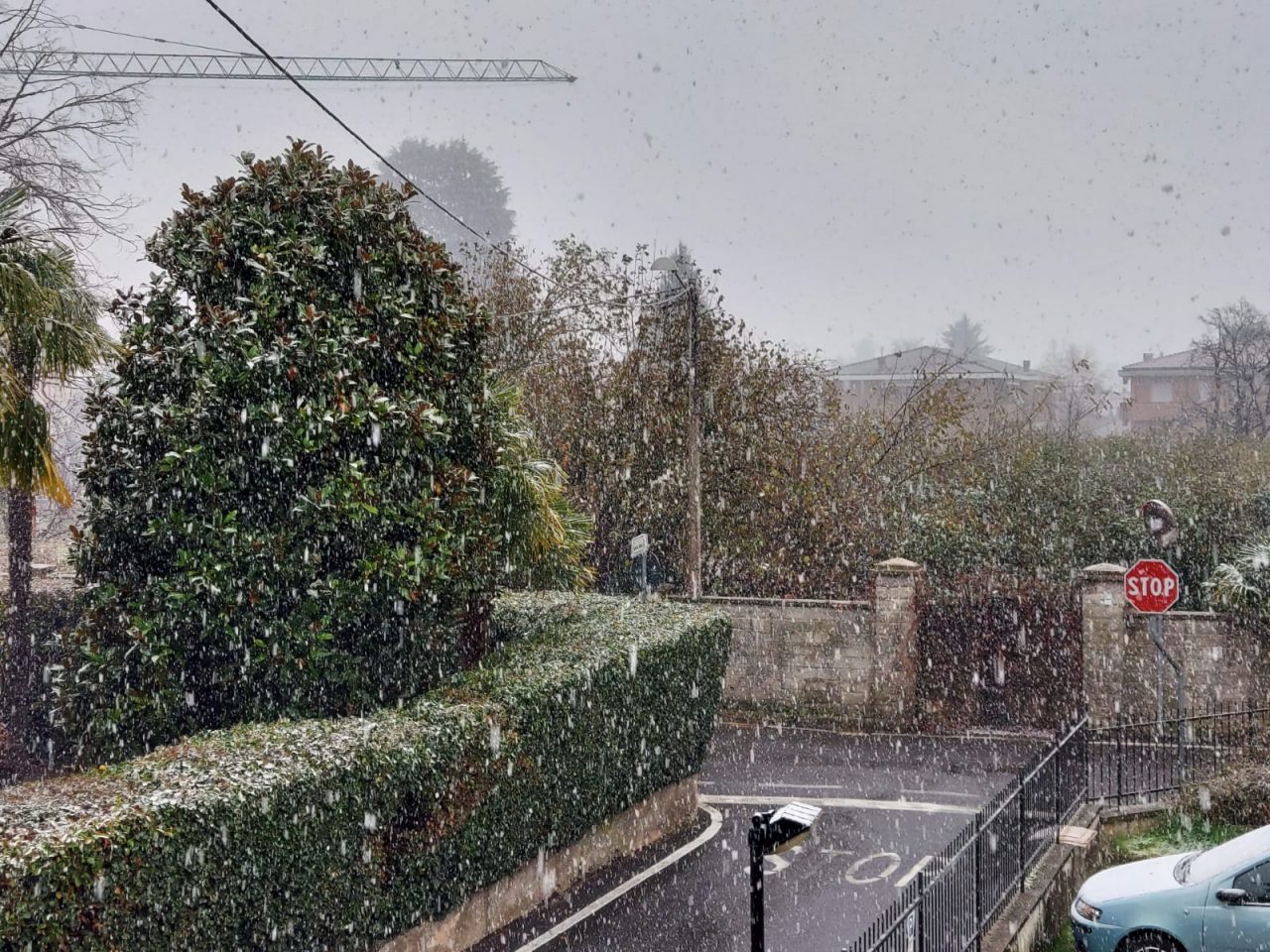 Neve anche a Tradate. Pipolo: “Pronti con sale e se servirà spazzaneve” VIDEO