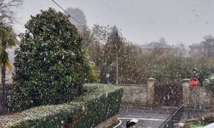 Neve anche a Tradate. Pipolo: "Pronti con sale e se servirà spazzaneve" VIDEO