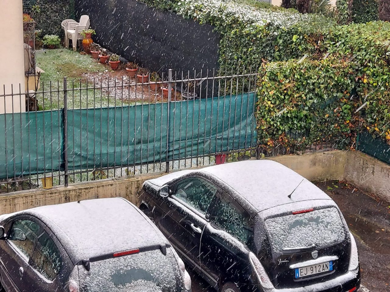 neve a tradate