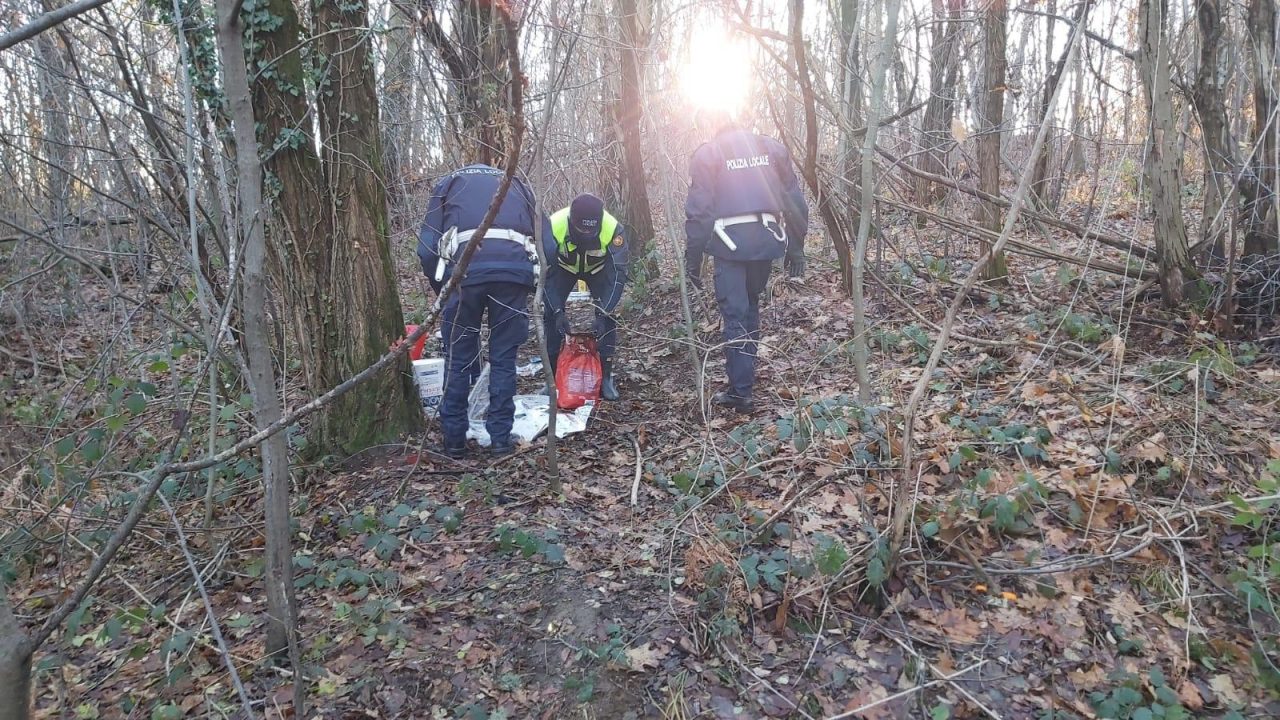 pulizia al boschetto dello spaccio fra Morazzone e Castiglione Olona