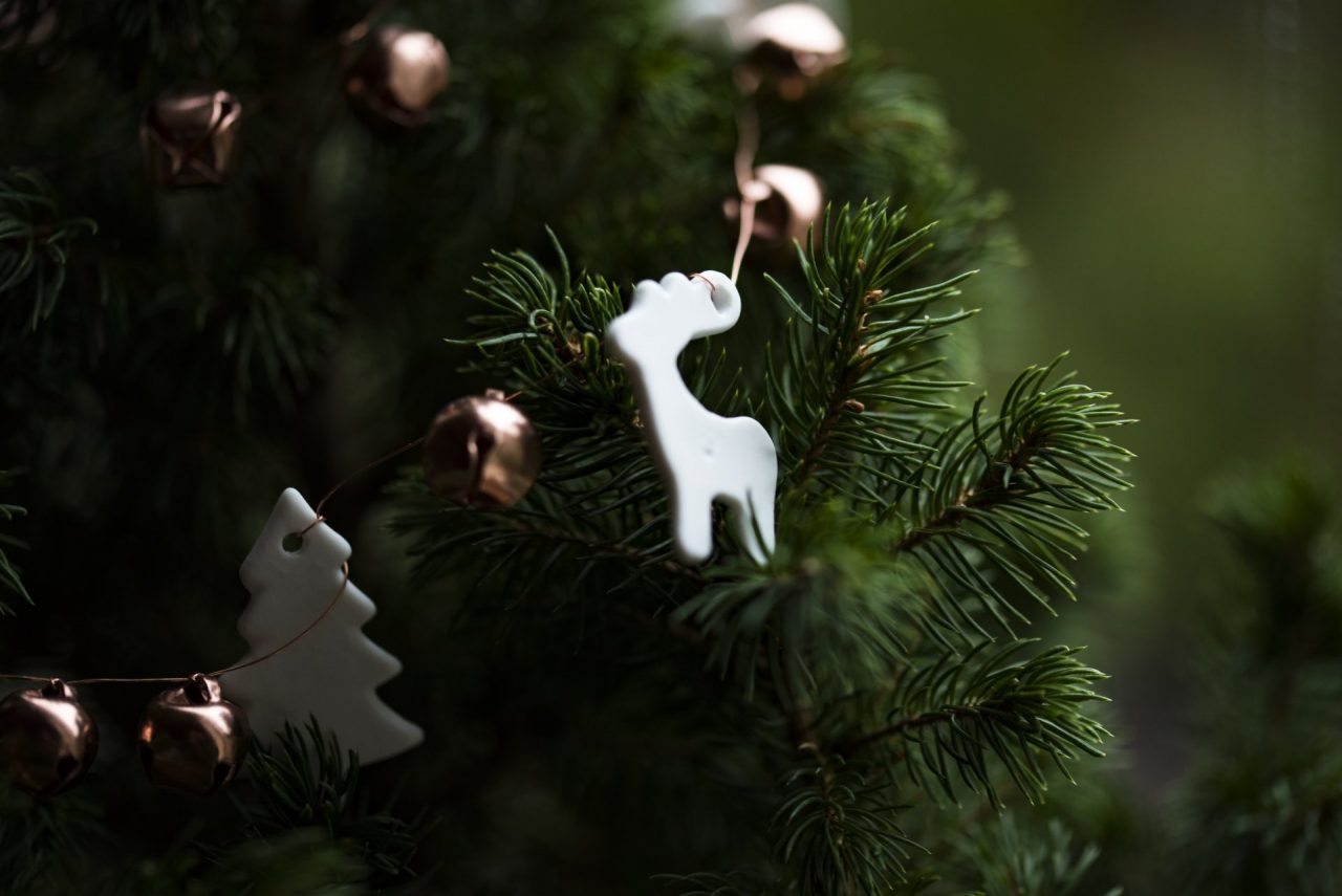 8 dicembre, via all’addobbo dell’albero di Natale. Coldiretti: “Sceglietelo vero”