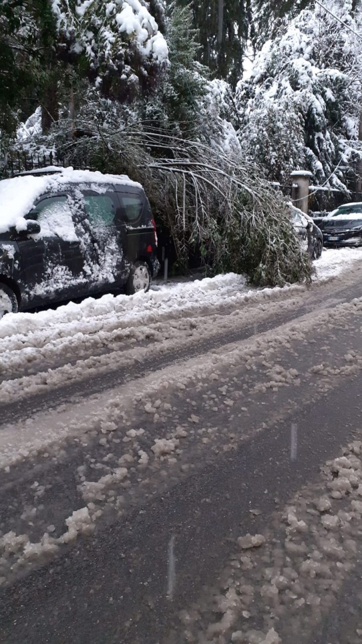 La nevicata finisce in Consiglio: l’opposizione chiedo conto dei molti disagi