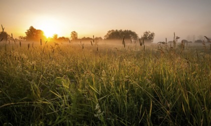 Tempo bello e stabile (almeno per una settimana) | Meteo Lombardia