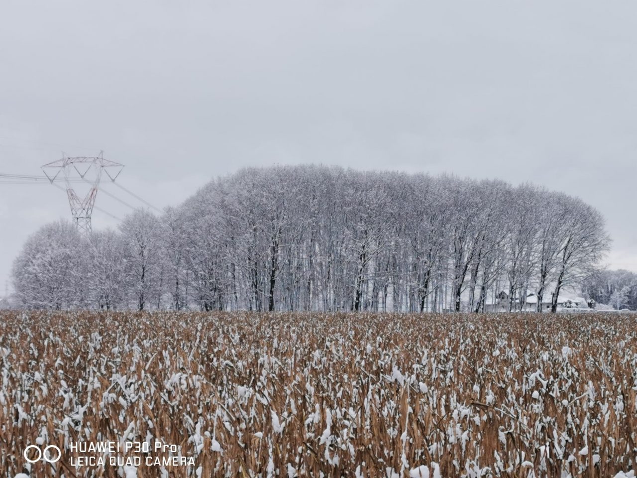 Parco agricolo prealpino, sette comuni ne parlano