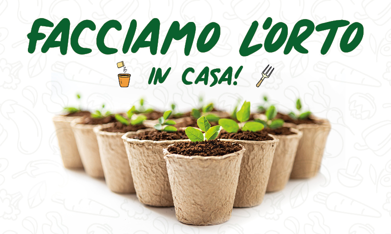 Facciamo l’orto in casa! In regalo con La Settimana di Saronno 8 sementi diversi