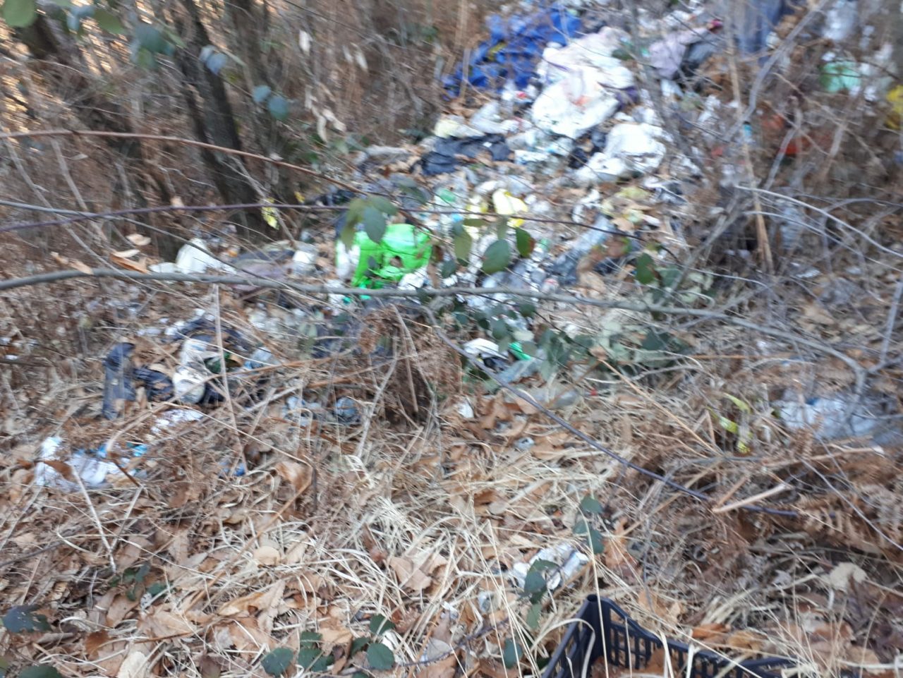 montagne di rifiuti al pianbosco