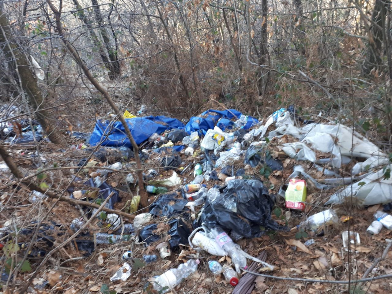 montagne di rifiuti al pianbosco