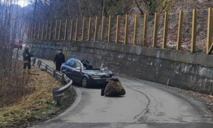 Tragedia in Valtellina: muore schiacciato da un masso piombato sulla sua auto