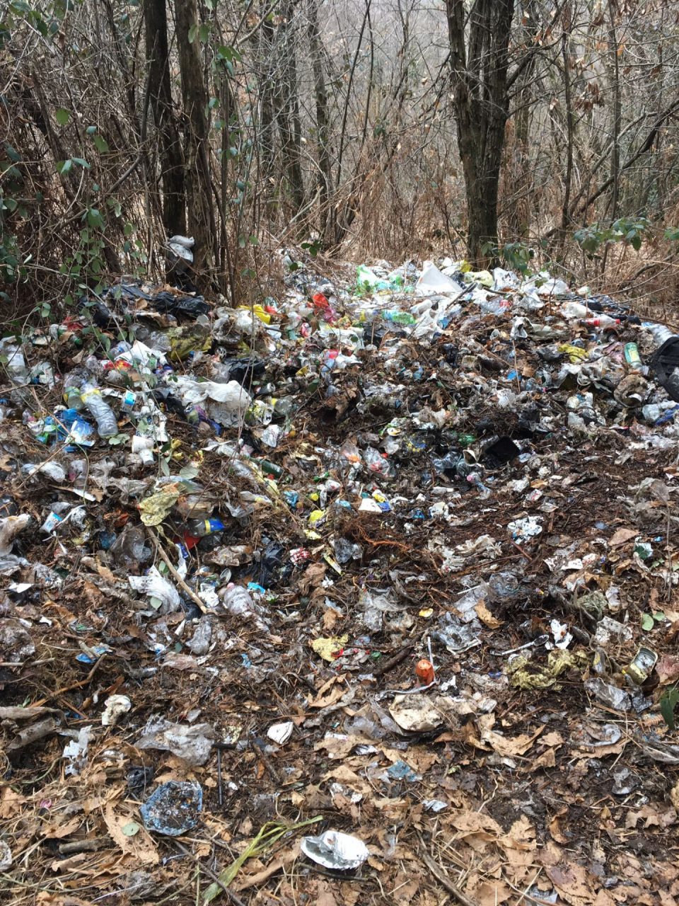 Discarica abusiva nel Parco di Pianbosco