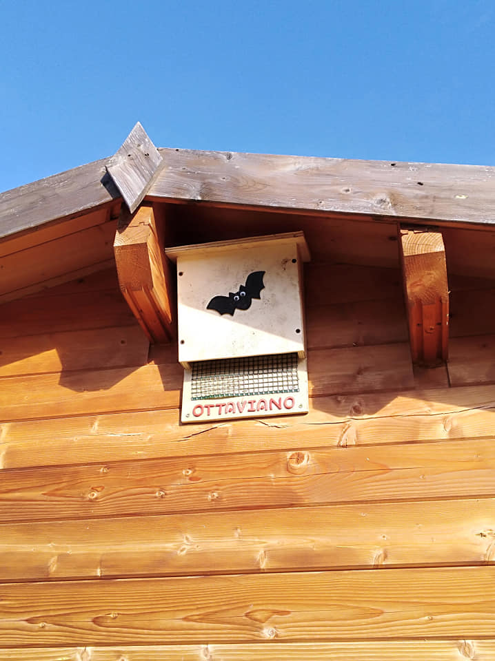 Gerenzano, i pipistrelli hanno ora una casa al Parco degli Aironi