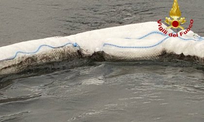Idrocarburi nelle acque del Lago Maggiore, danni limitati dai Vigili del fuoco