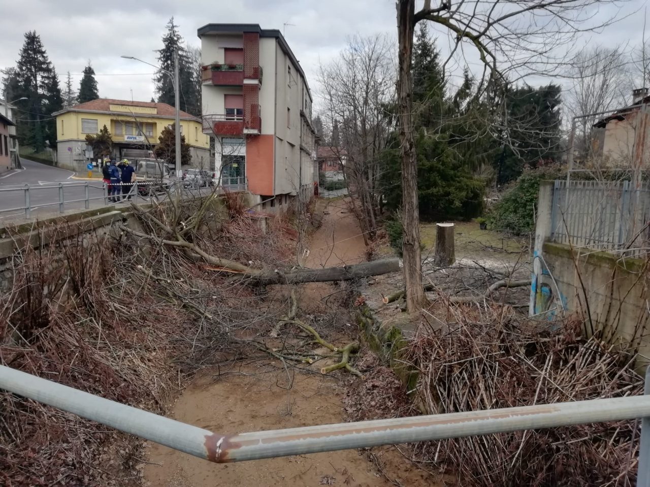 Un albero cade e finisce su un’auto in transito