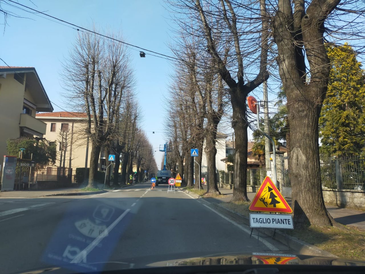 I viali e i parchi cittadini si rifanno il look