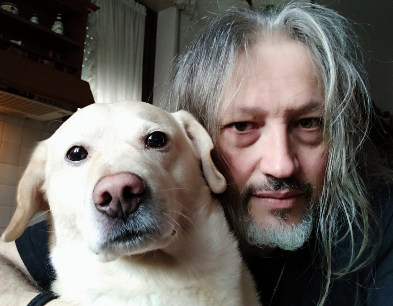 “Sono stato avvelenato da qualcuno che sa solo odiare noi cani”: la storia di Beethoven commuove tutti