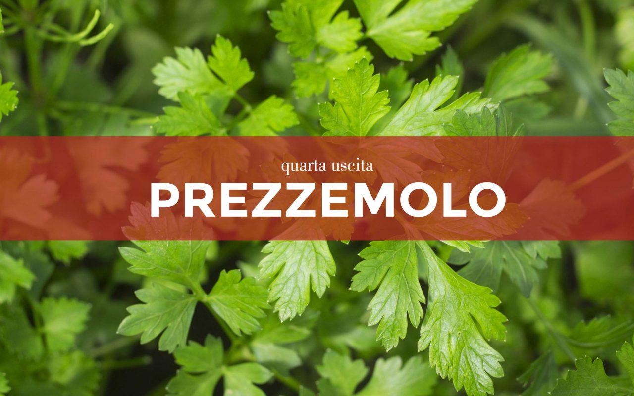In regalo con La Settimana di Saronno i semi di prezzemolo