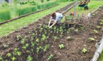 La primavera inizia con il gelo ma tra orti e giardini gli appassionati “scaldano i motori”