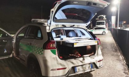 Rischia di investire i vigili, quando la fermano: “Scusate, pensavo foste degli ubriachi in mezzo alla strada”