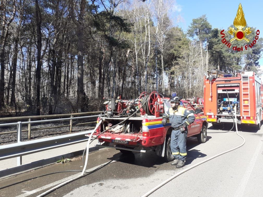 Incendio boschivo, Vigili del fuoco a Ceriano Laghetto