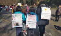 "La dad non è la scuola": 150 bambini e genitori in piazza per chiedere di tornare alla didattica in presenza