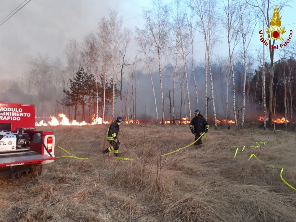 Grosso incendio nel Parco delle Groane in fumo 40 mila metri quadri