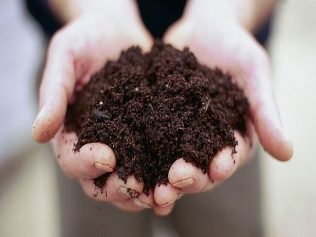 Compost nelle piazze: sabato prossimo l’iniziativa di Sieco