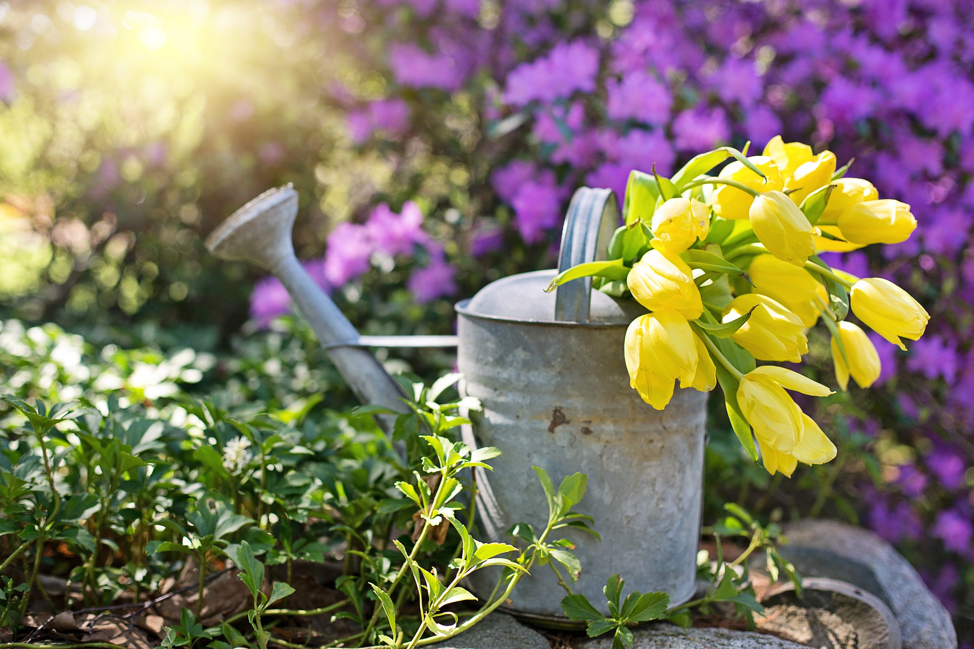 watering-can-4206260_1920