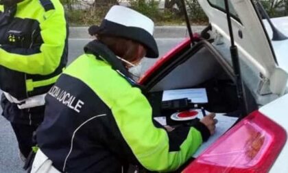Tre prestanome, uno con una società (fittizia) a Varese: insieme, un parco auto da quasi 700 mezzi