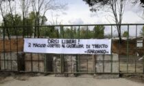 "Orsi liberi in Trentino": striscione animalista sulla Sp 527