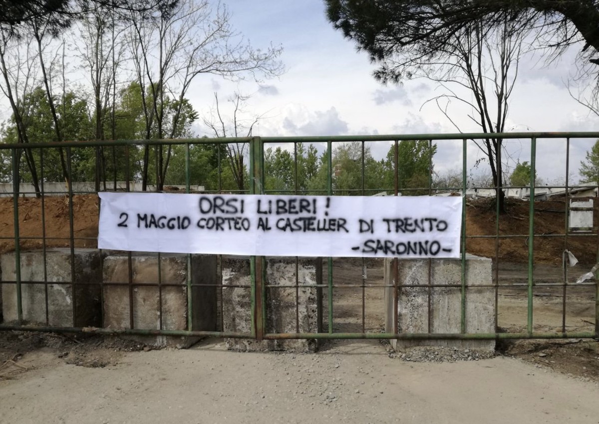 “Orsi liberi in Trentino”: striscione animalista sulla Sp 527