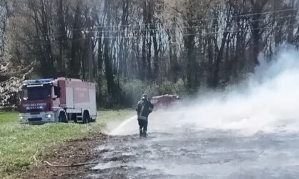 Dà fuoco alle sterpaglie, prende fuoco tutto il campo: ancora fiamme a Lonate