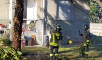 Albero in fiamme a Olgiate Olona, intervento dei Vigili del Fuoco