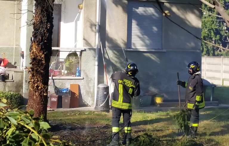 Albero in fiamme a Olgiate Olona, intervento dei Vigili del Fuoco