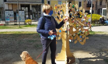 Gli alberi pasquali decorati dai bimbi colorano le piazze di Tradate