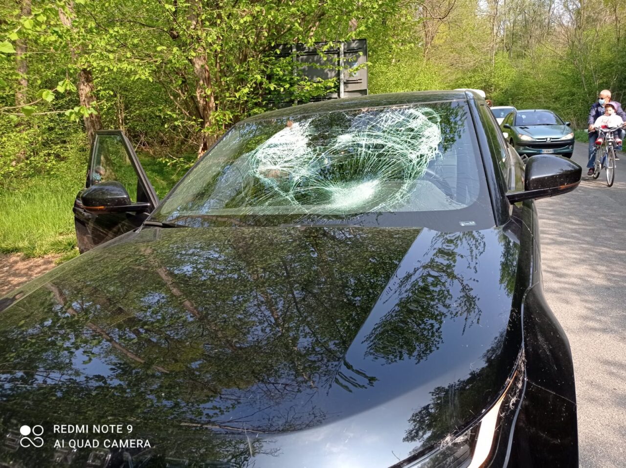 Cislago, auto si schianta contro un daino: animale deceduto sul colpo