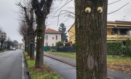 Via Dante diventa «via del sorriso»