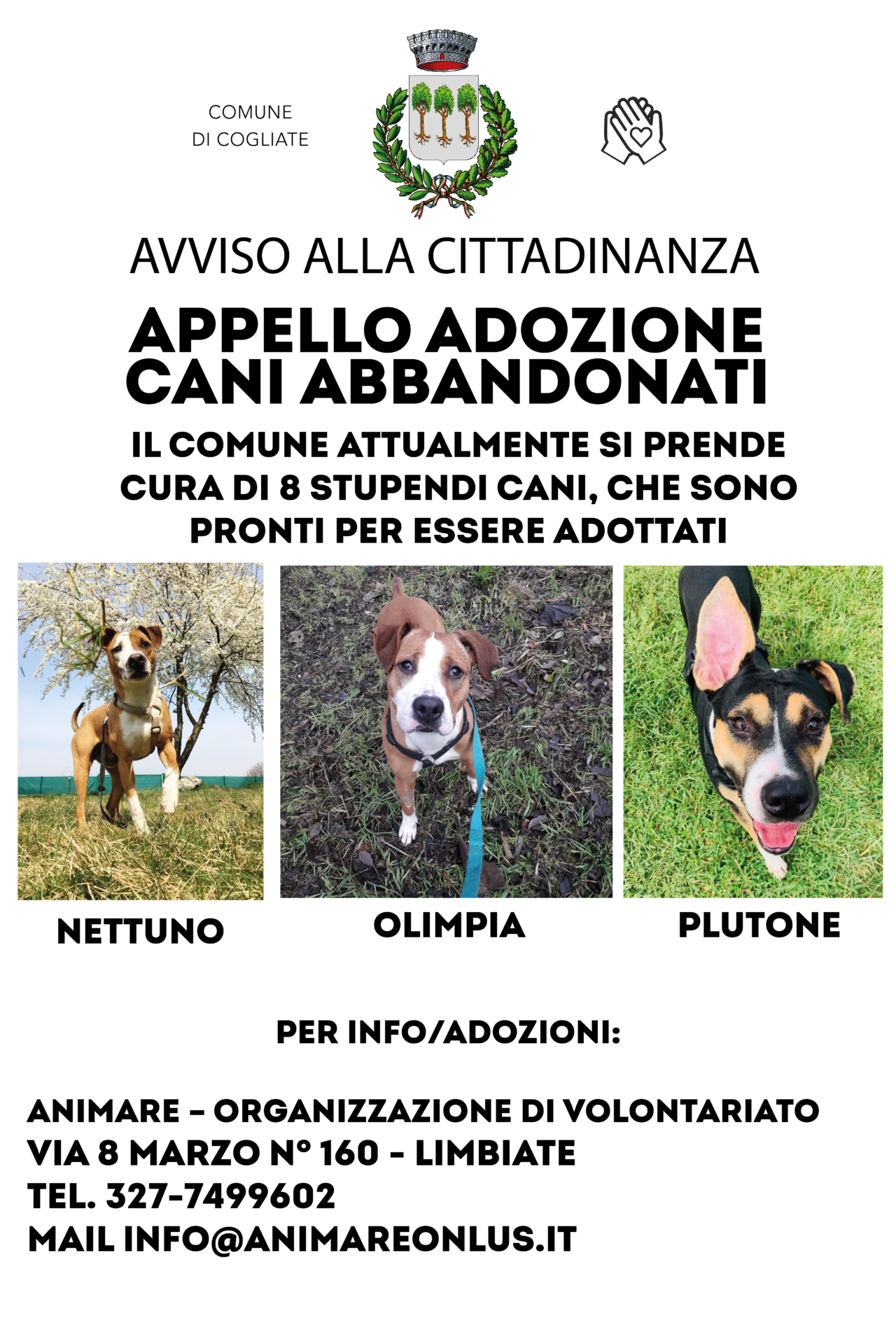 CANI2-01