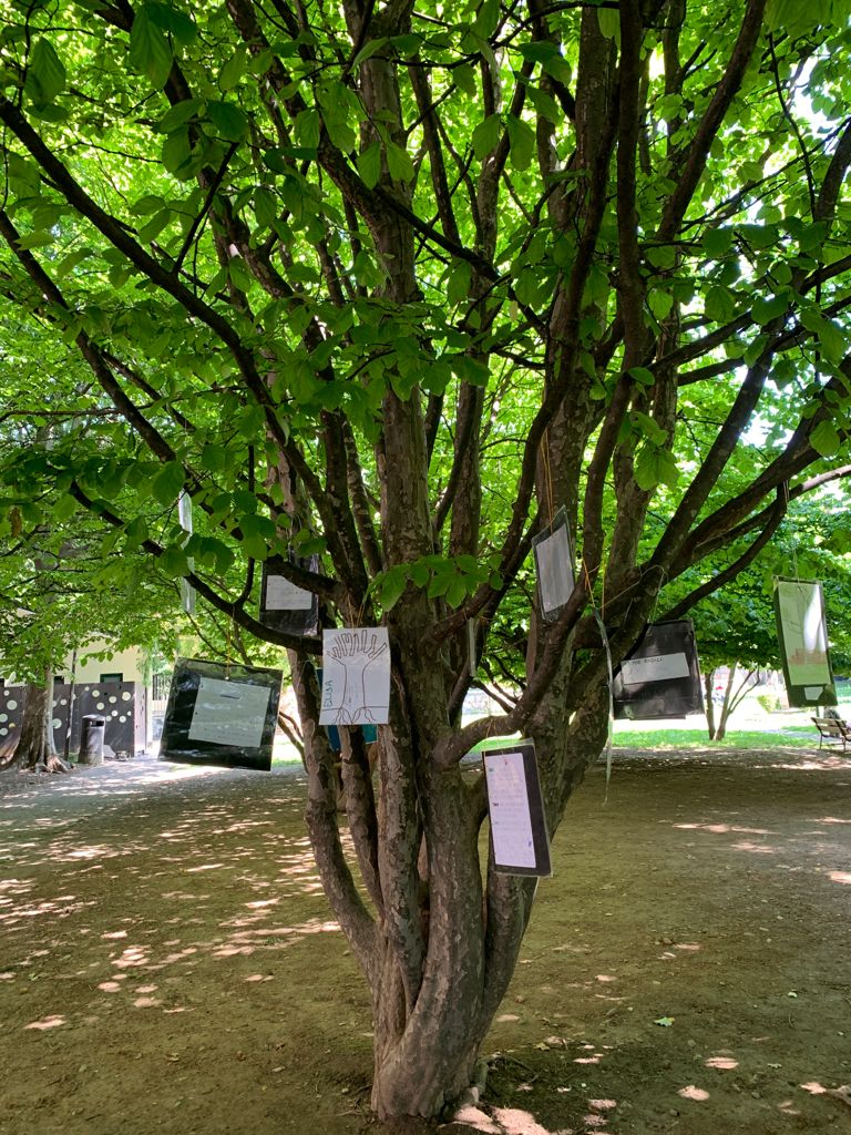 “Io albero” la mostra al parco dei frati di Saronno