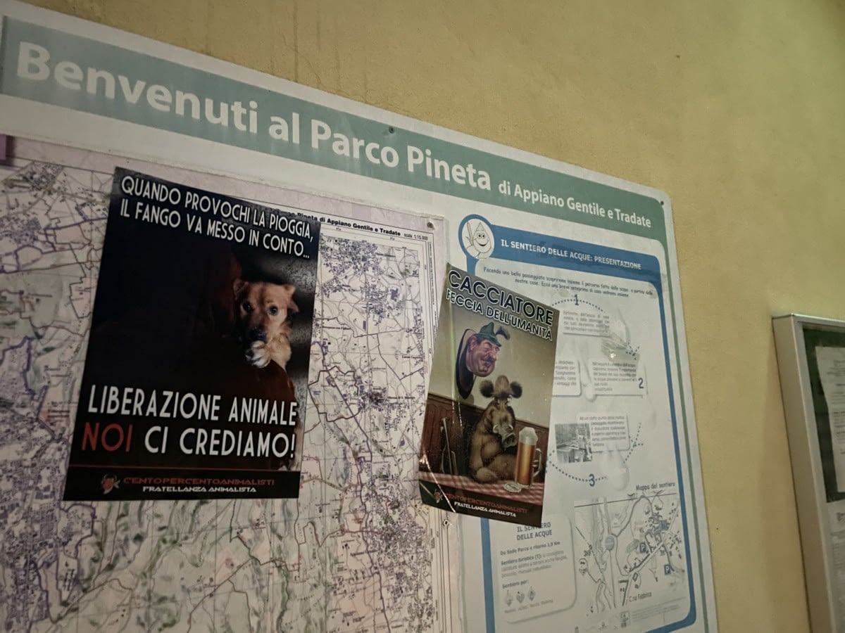 parco-Pineta-Castelnuovo-Bozzente-1