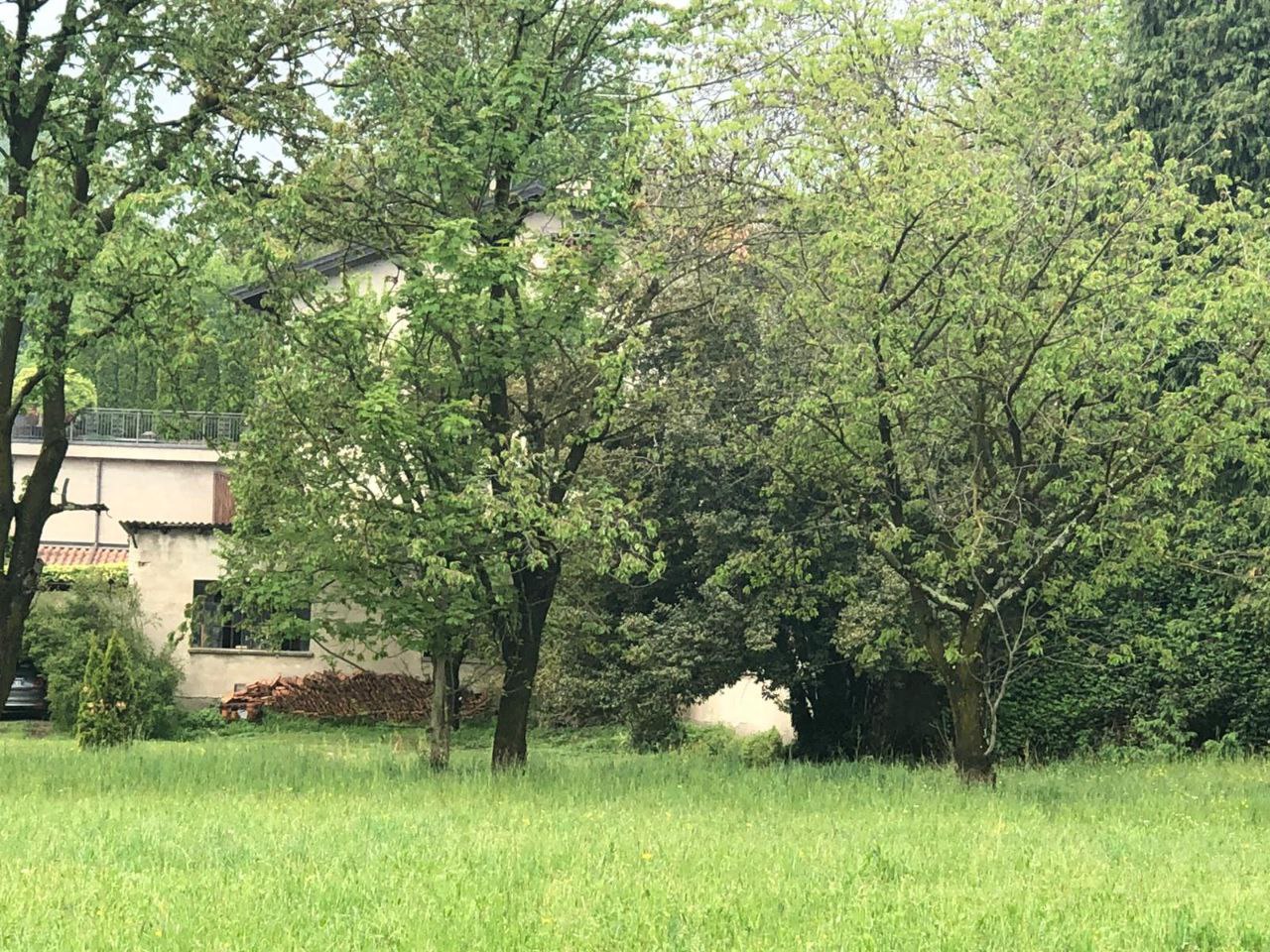 Sparita la gabbia trappola per i cinghiali a Pianbosco: “La prima battaglia è stata vinta”