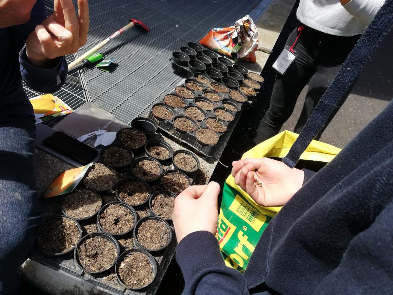 La natura fa scuola: parte l’orto didattico nel cortile della Fermi
