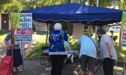 Piazza Mazzini, incontro pubblico giovedì sera con il Comitato e l'agronomo Zanzi