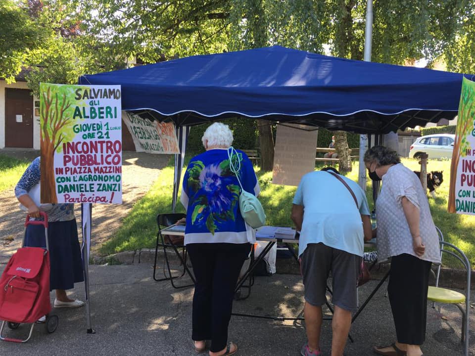 Piazza Mazzini, incontro pubblico giovedì sera con il Comitato e l’agronomo Zanzi