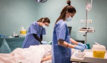Humanitas University apre una sede a Castellanza per il corso di laurea in infermieristica