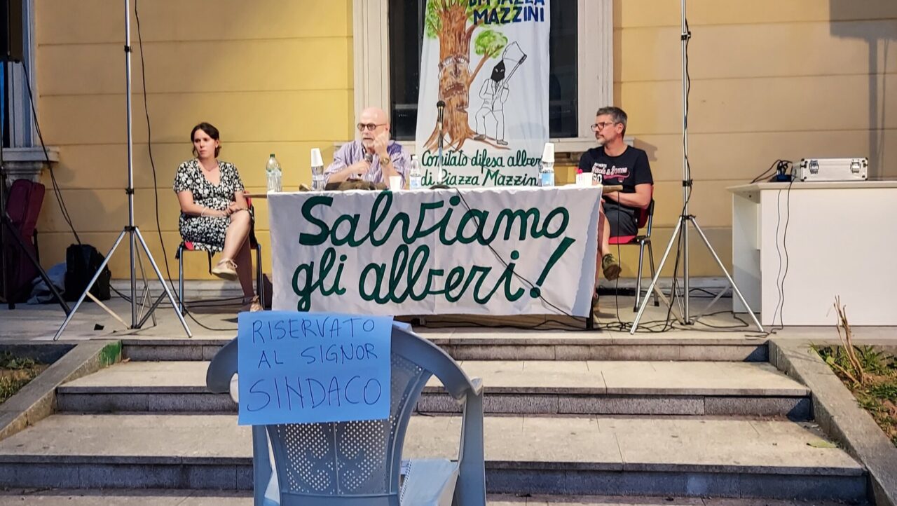 Piazza Mazzini, sì dal Comune alla perizia Zanzi: “Tagli solo se necessari”
