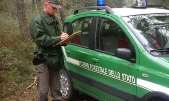 Deposito illecito di rifiuti nel Parco del Ticino: 17mila metri quadrati di illegalità