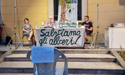 Piazza Mazzini, la sfida di Zanzi e del Comitato: "Il Comune ci faccia fare le analisi sugli alberi"