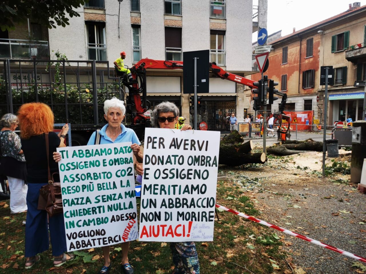 “Abbattimento pessimo segnale. La Giunta non ascolta i cittadini”