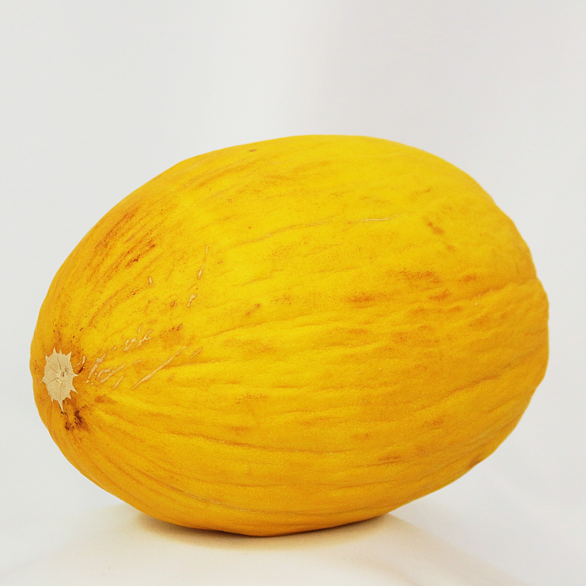 melon-393065_1920